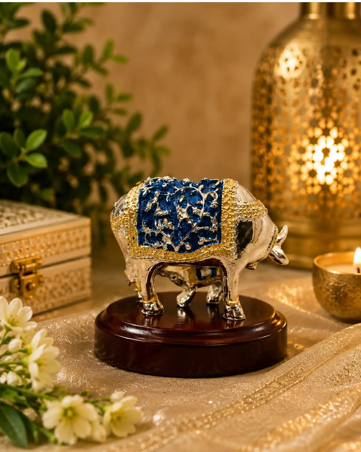 Nandi combo - Image 6